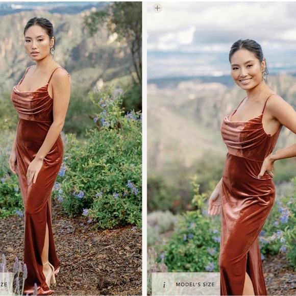 Revelry Skye Velvet Dress - Terracotta - Picture 2 of 6